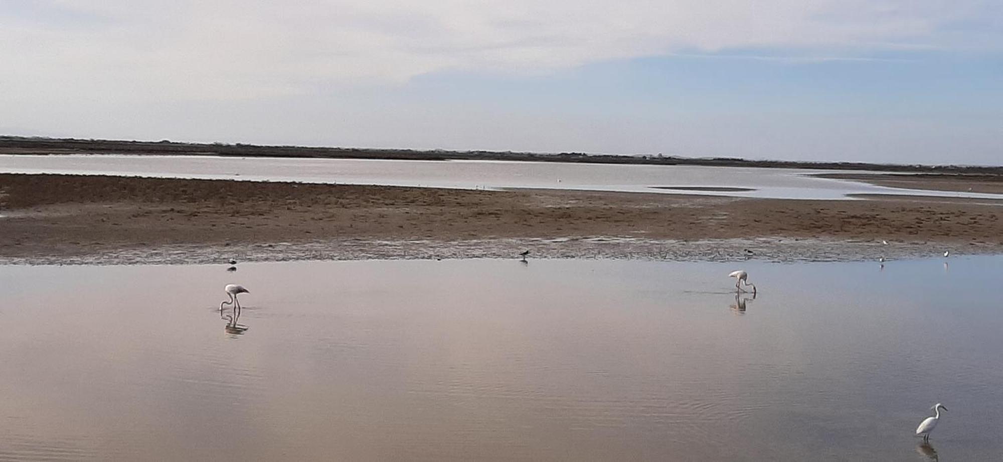 Appartement Calme A Deux Pas De La Mer سانت ماري دو لا مير المظهر الخارجي الصورة